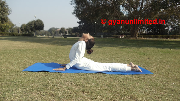 bhujangasan-for-steps-benefits