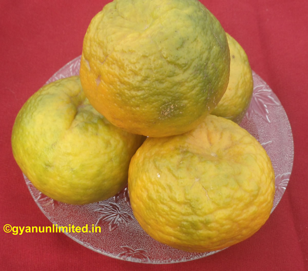 fruits-for-weight loss