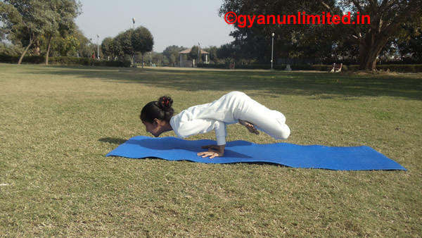 How to do Mayurasana
