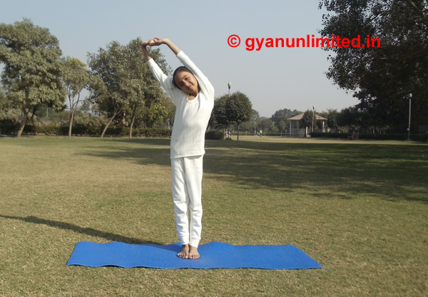 hastottanasana-for-weight-loss