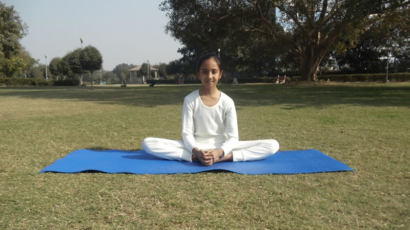 Bhadrasan Steps, Benefits in Hindi