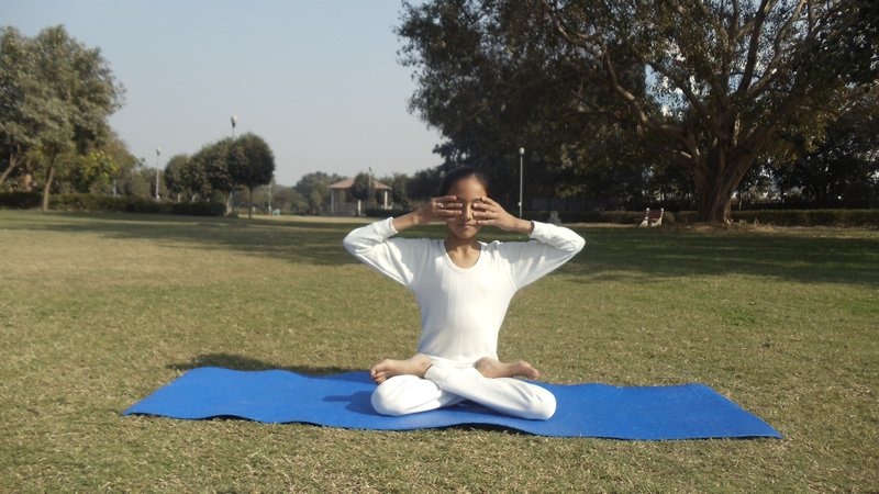 Bhramri pranayama in Hindi